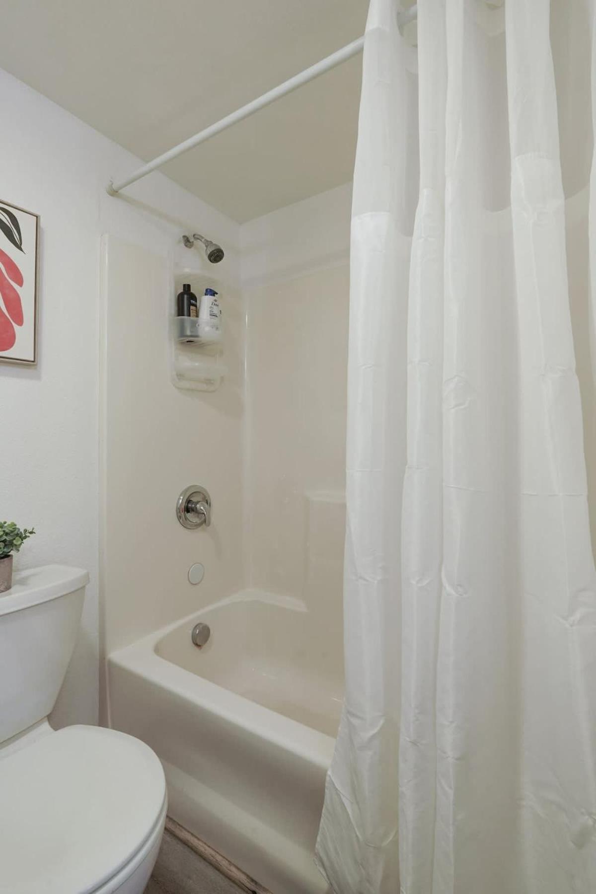 Homey Near Downtown Sac And American River Apartment Sacramento
